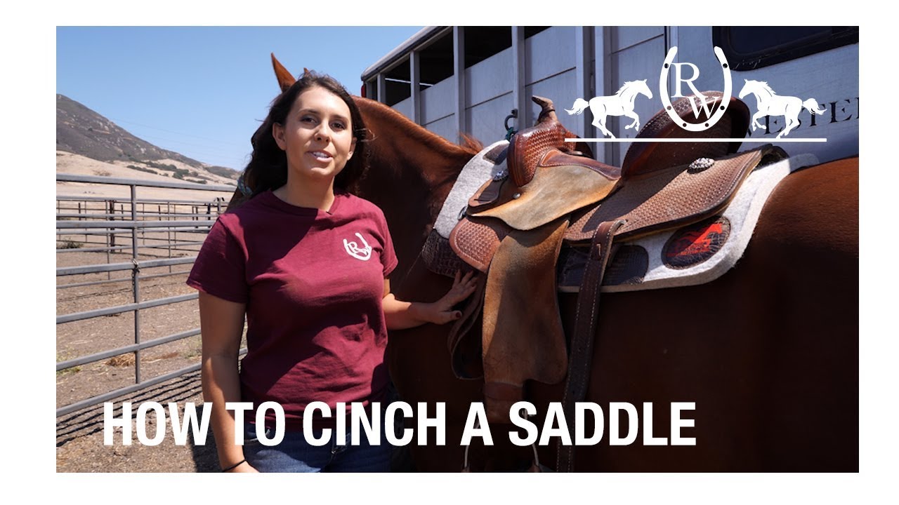 How to Cinch a Saddle