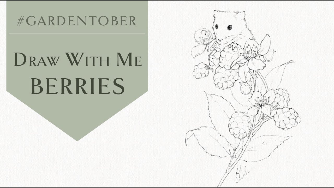 Gardentober 21 | Drawing Realistic Berries and a little Field Mouse!