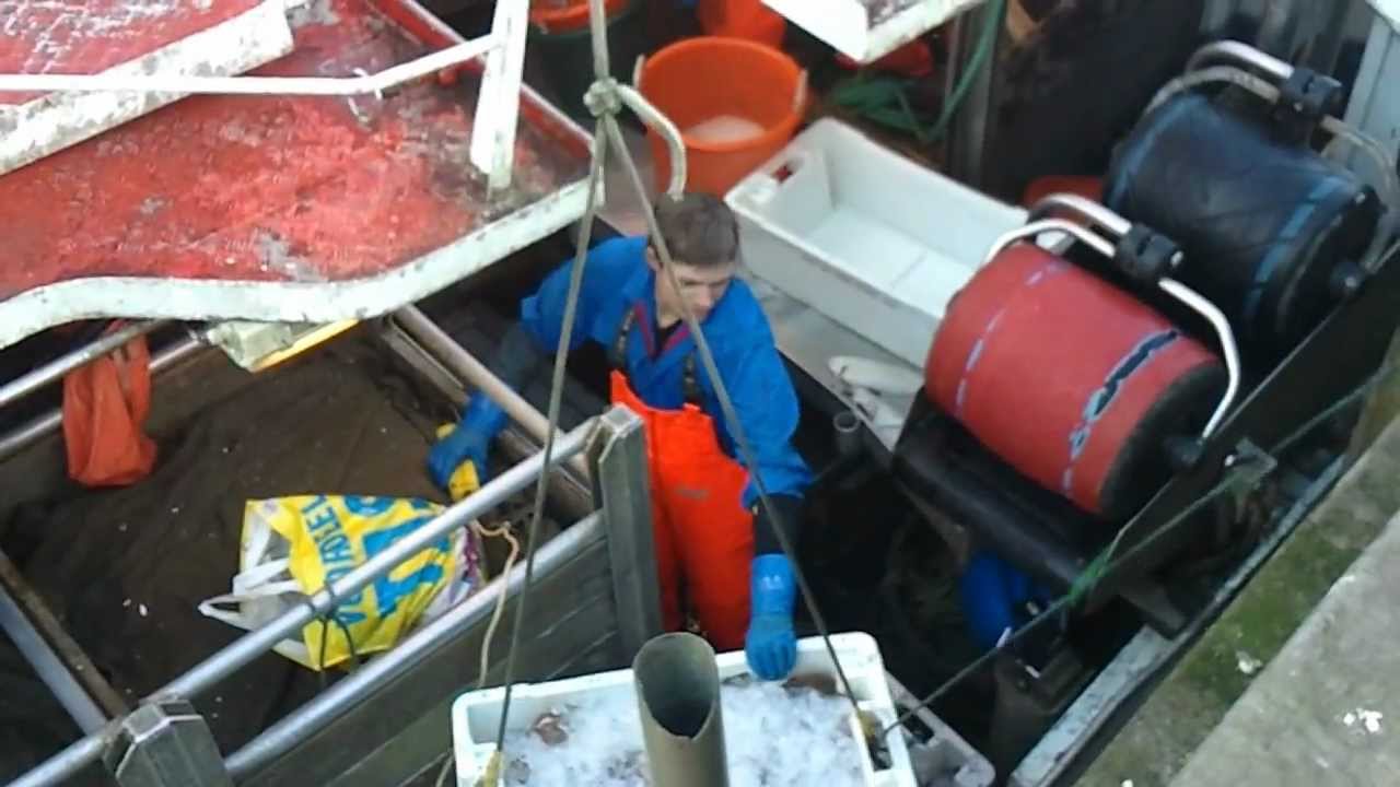 L 144 lost zijn verse tong in den Helder