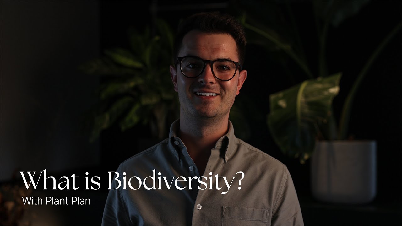 What is Biodiversity?