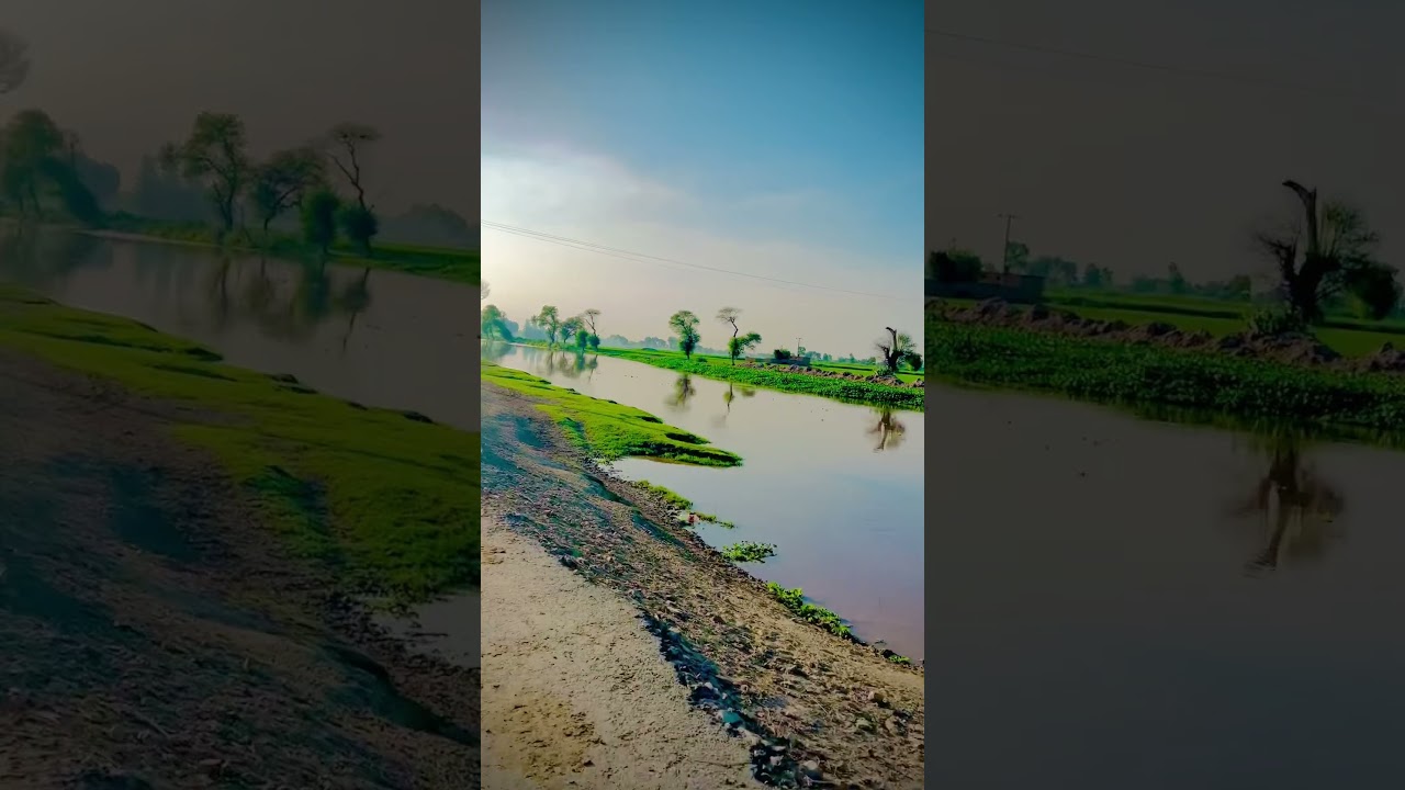 Beauty of the Punjab #punjabpakistan #punjabkisan #punjabkisaadazindagi