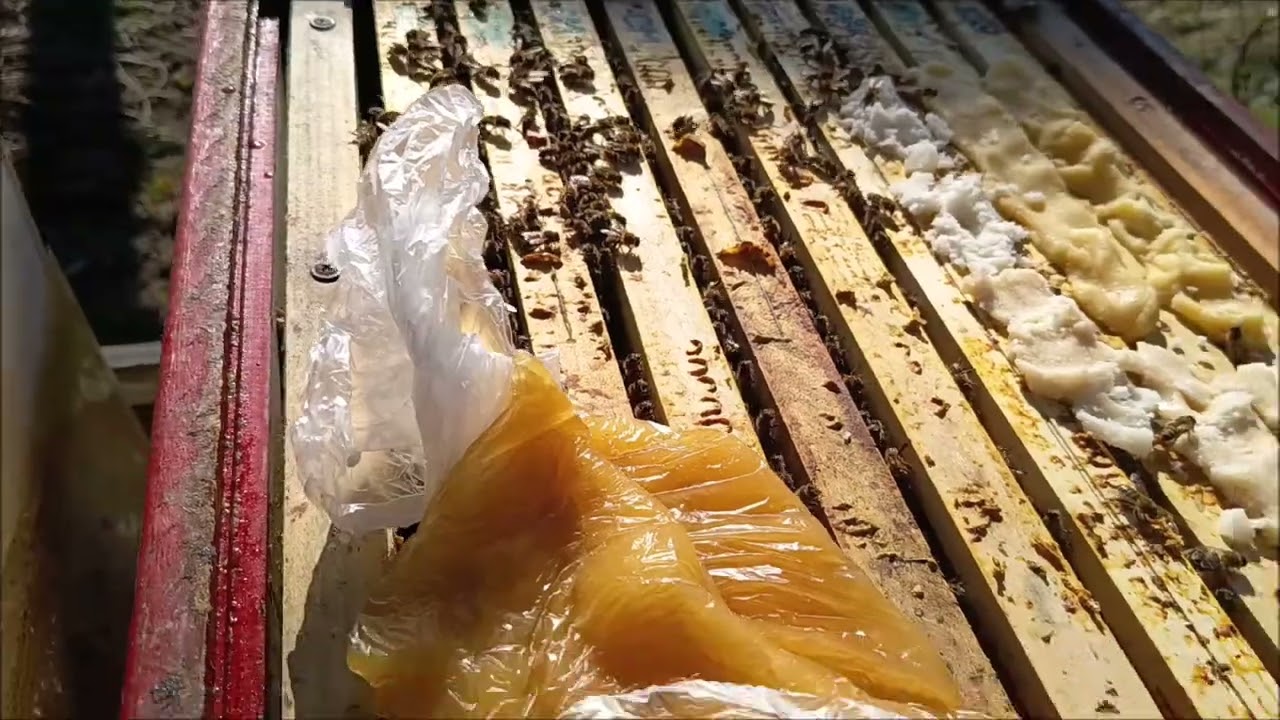 Stale podnecuji včely příkrmy, navíc jsem použil těsto s Ultra Bee