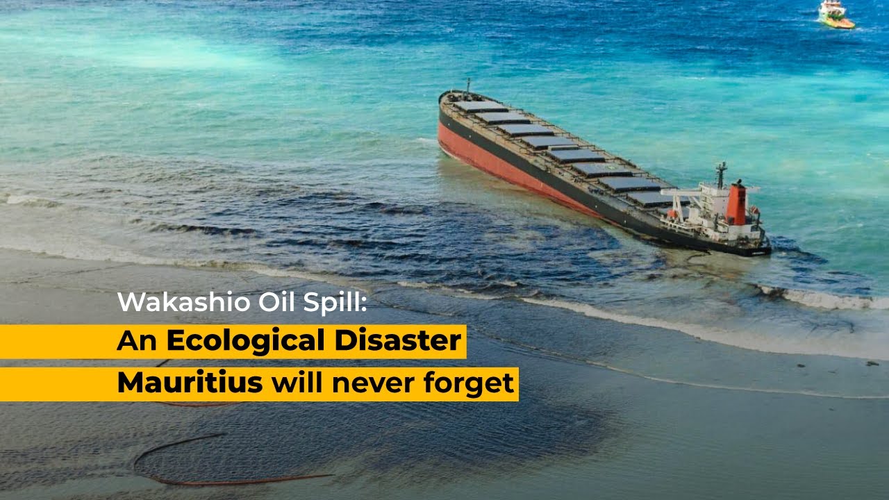 Wakashio Oil Spill: An Ecological Disaster Mauritius will never forget