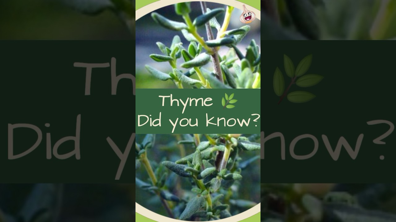 The Benefits of #Thyme