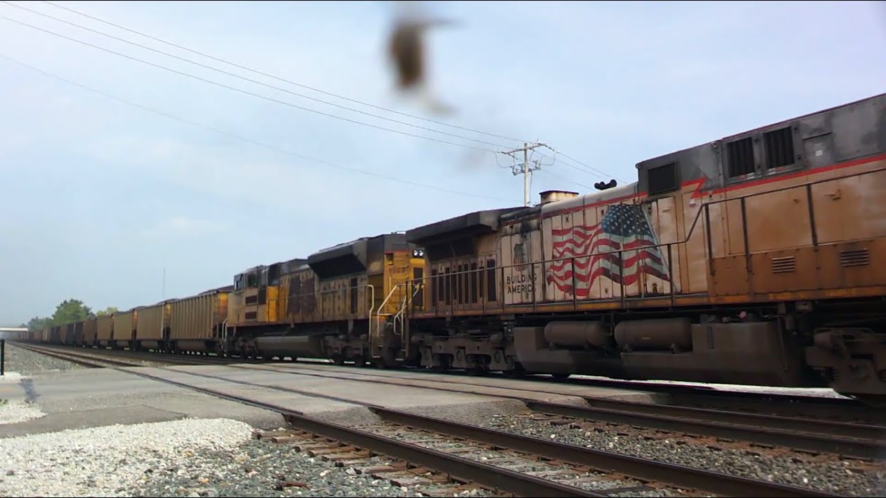 July 2023 Swanton, OH; coal loads head west w/ a bee