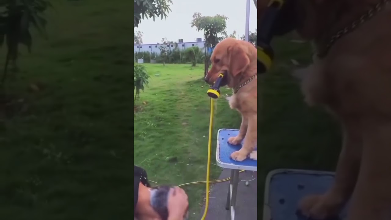 #funny