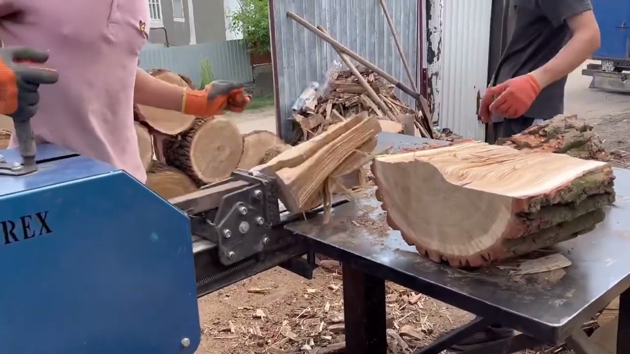 🌳🌳🌳