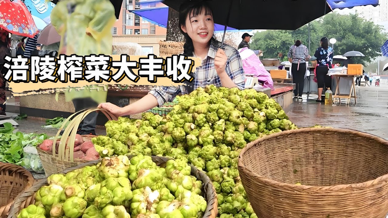 涪陵榨菜大豐收了！年都還沒過完澗陵人裝滿一車車青菜排長龍，景象熱鬧她壯觀了！ 【燕麥行遊】#Farm #tour