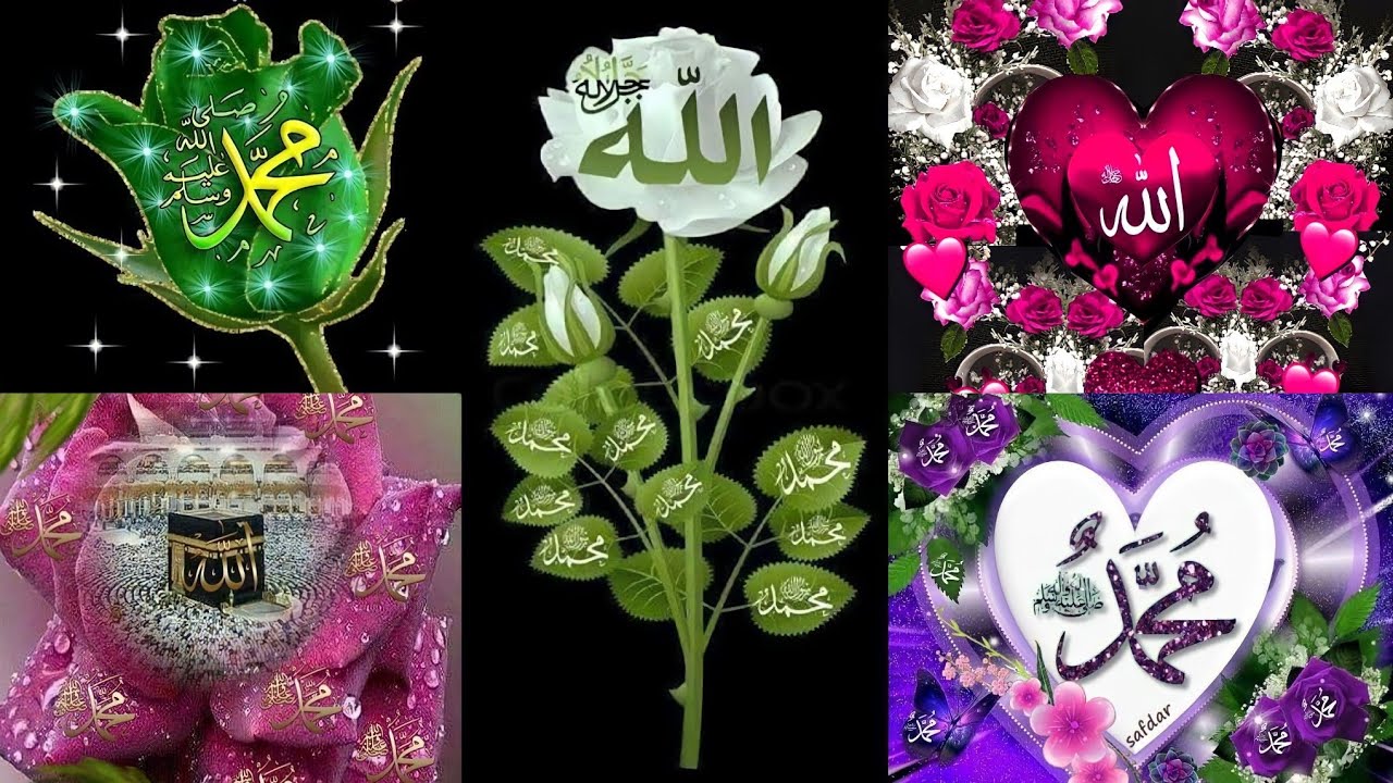 #Allah Name Flower Dp| #Allah Flower Heart Wallpaper | #Allah #Flowers #Dp| #Allah Dp/images | #37