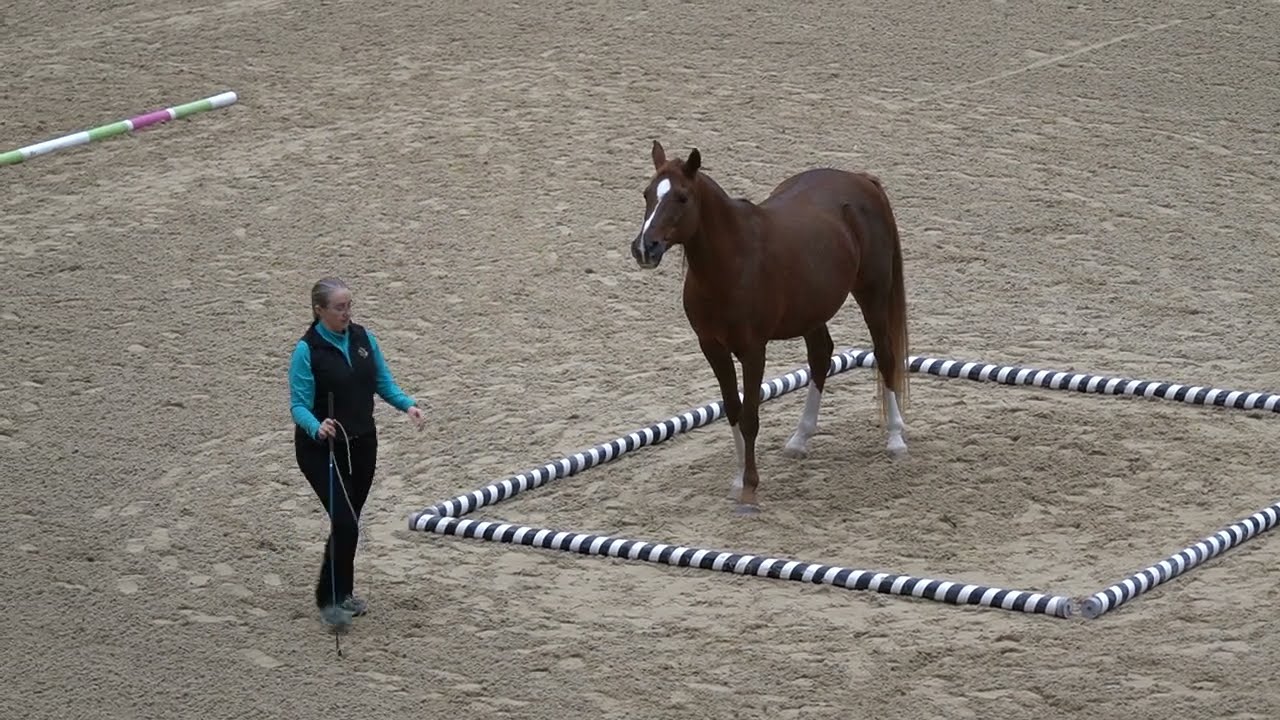 Jenese and Totally in Liberty Obstacles Advanced at ILHA 2023! C0024