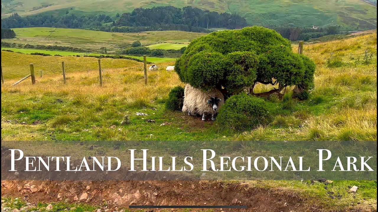 Pentland Hills Regional Park | Edinburgh