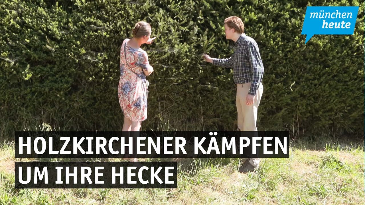 Heckenstreit-Anwohner in Holzkirchen k&auml;mpfen um Fichten