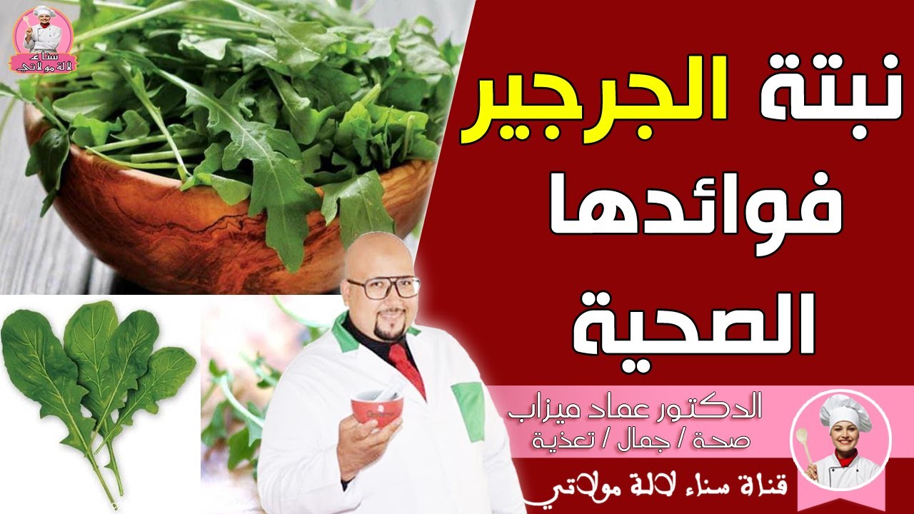 نبتة الجرجير وفوائدها الصحية مع الدكتور عماد ميزاب