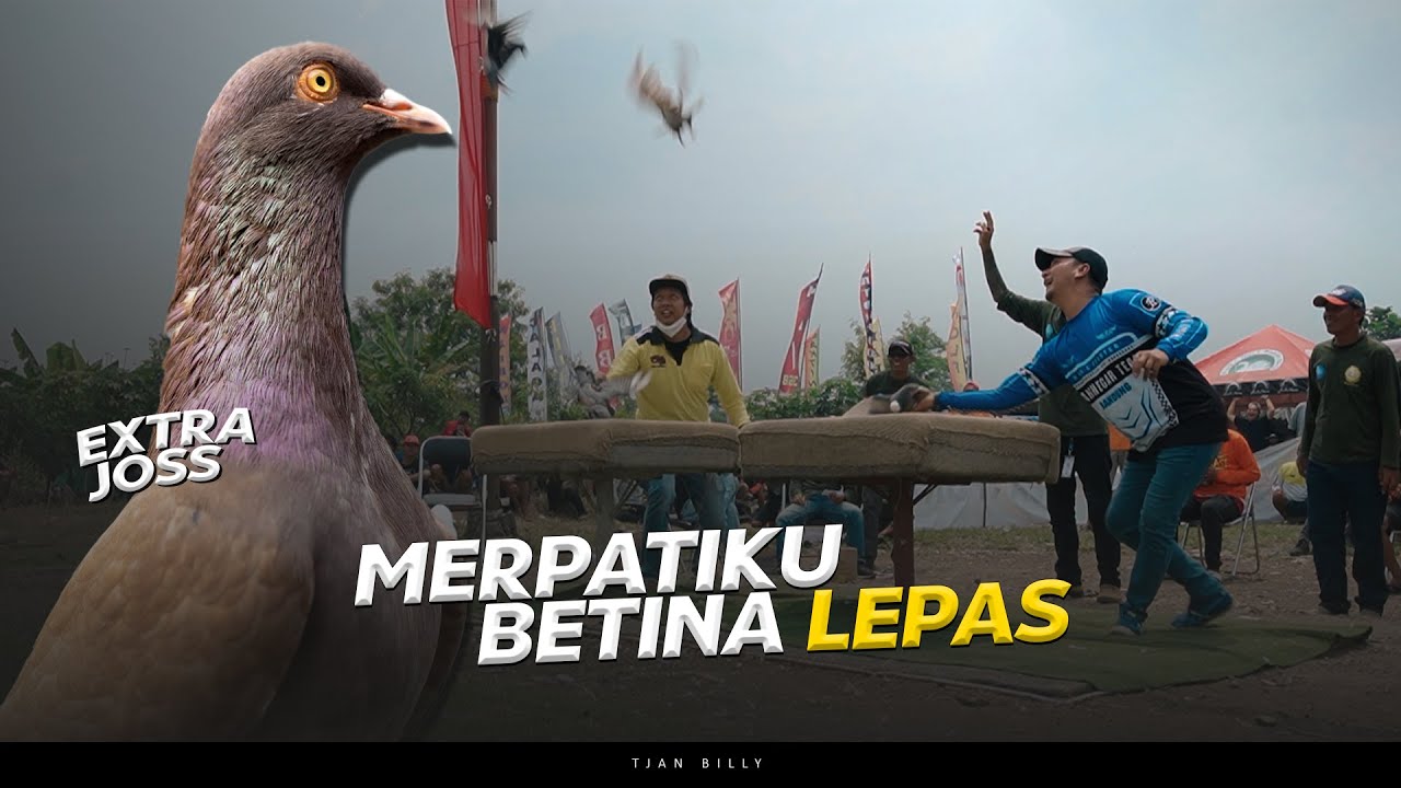 PERDANA PLAYER BEBASAN TJAN BILLY IKUT LOMBA PMTI BERHADIAH 125JUTA