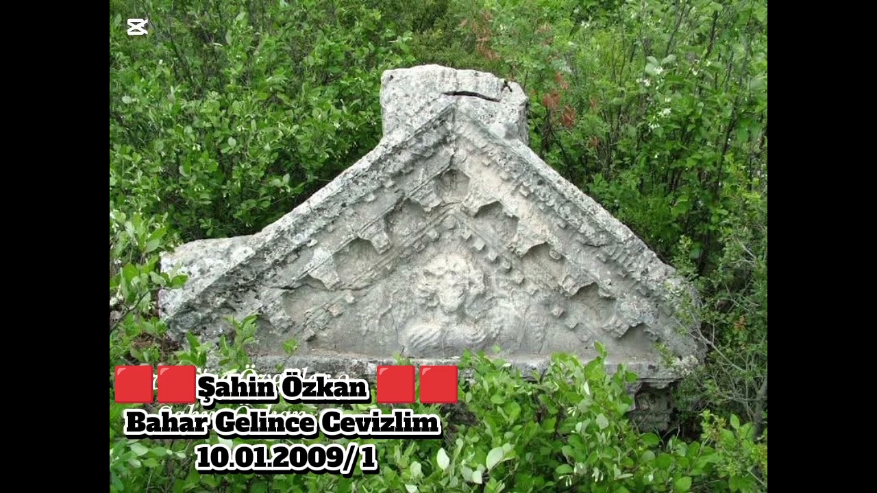 1-🟥CEVİZLİ ŞAHİN ÖZKAN BAHAR GELİNCE 3