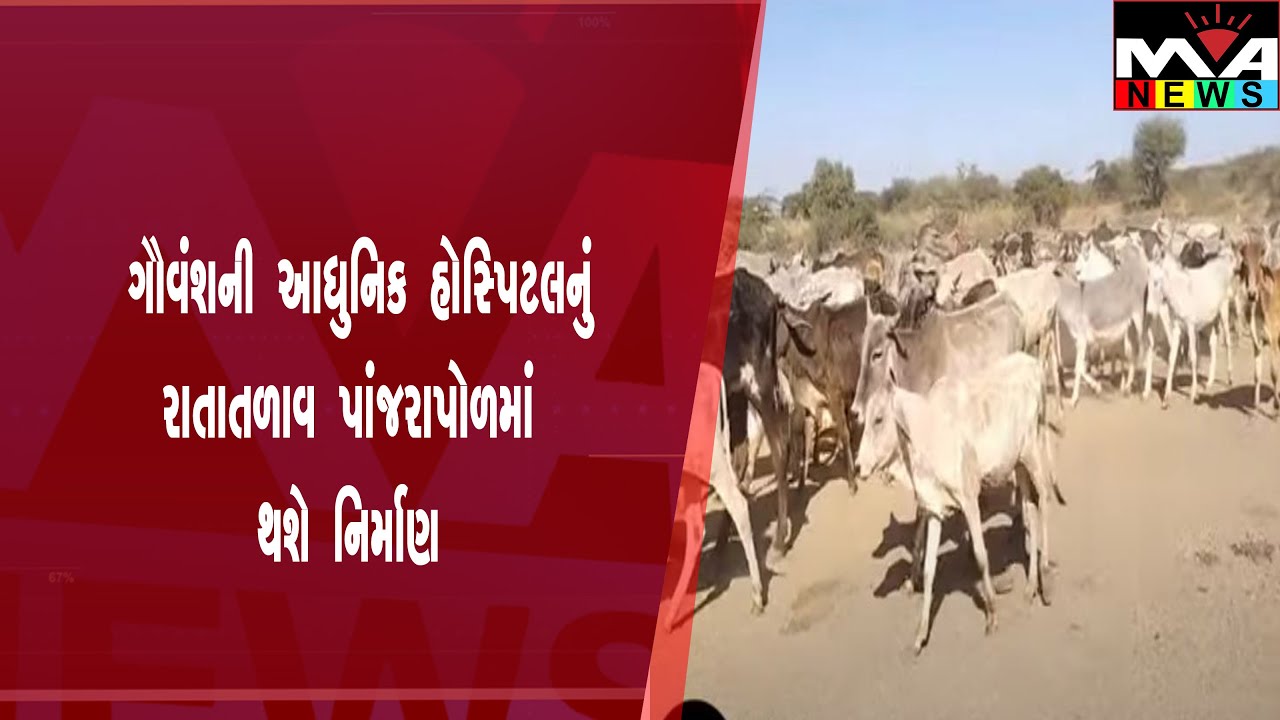 ગૌવંશની આધુનિક હોસ્પિટલનું રાતાતળાવ પાંજરાપોળમાં થશે નિર્માણ