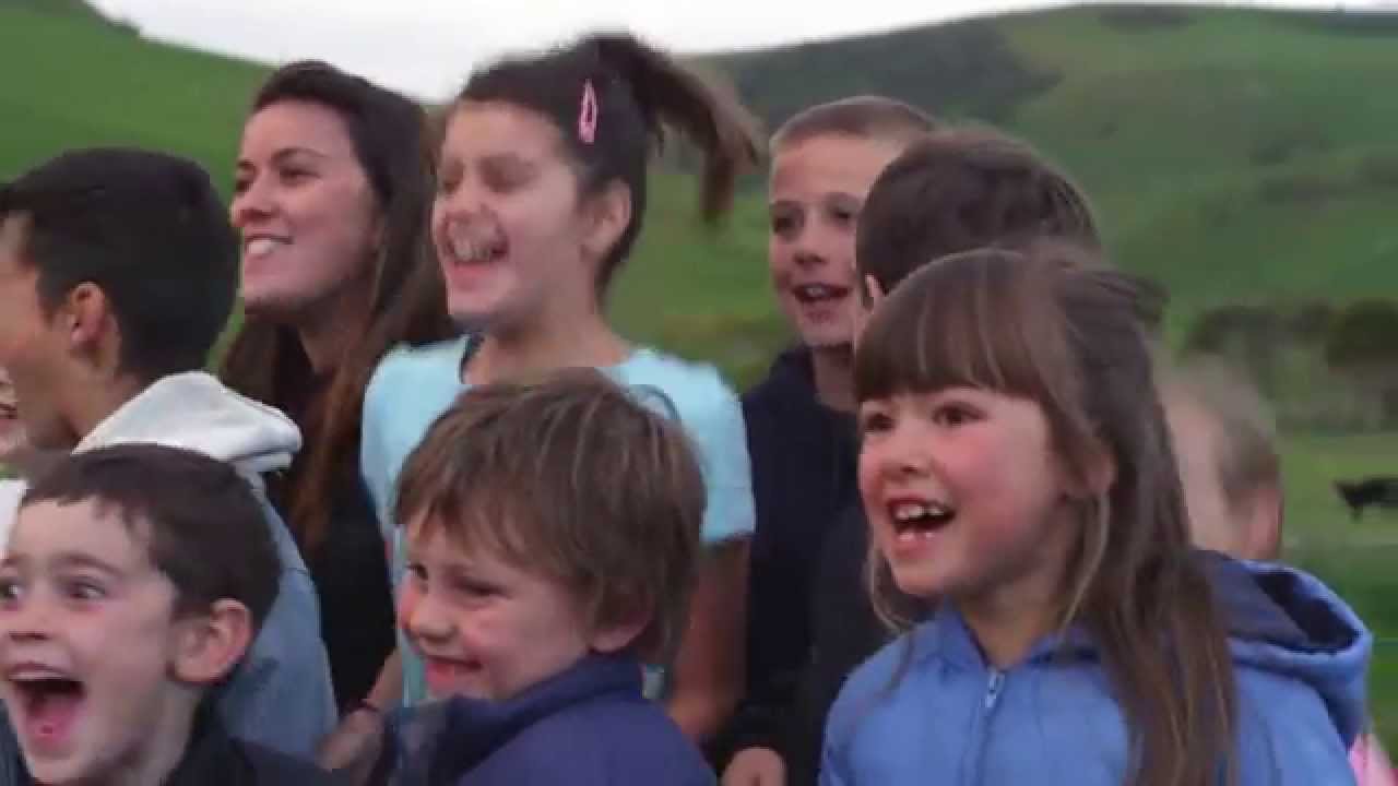 Meanwhile in.... New Zealand - 