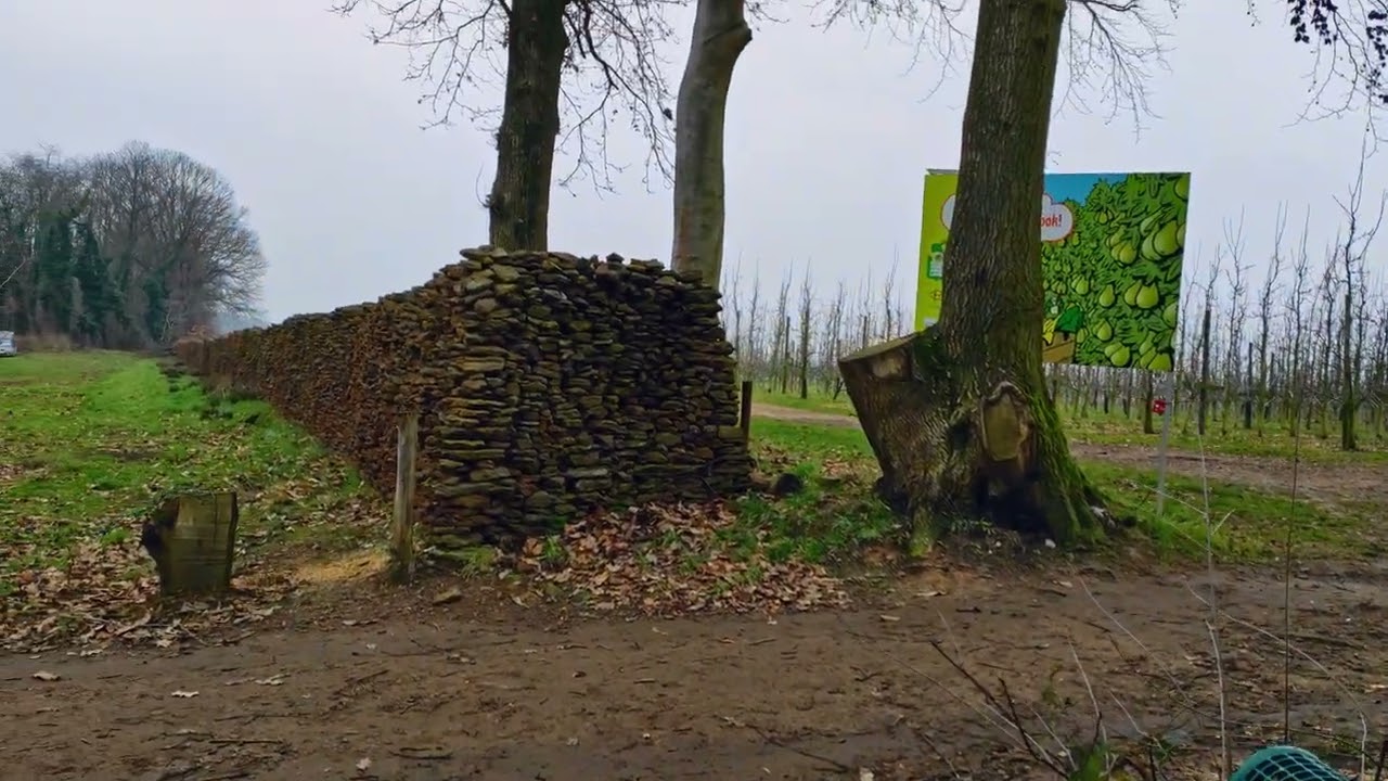 Wijngaardwandeling Wezemaal