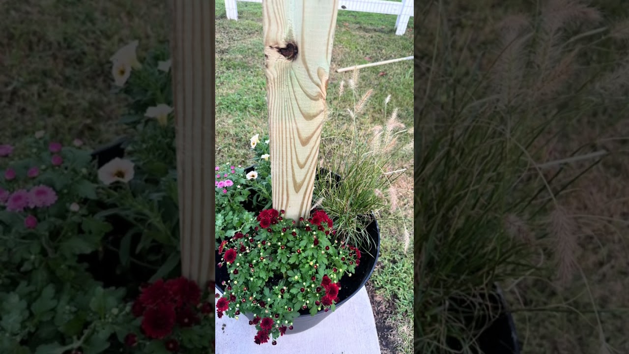 Our DIY home projects from 2024! #homeimprovement #diyprojects #diyhome