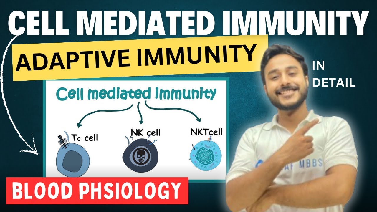 adaptive immunity physiology | cell mediated immunity physiology | acquired immunity physiology