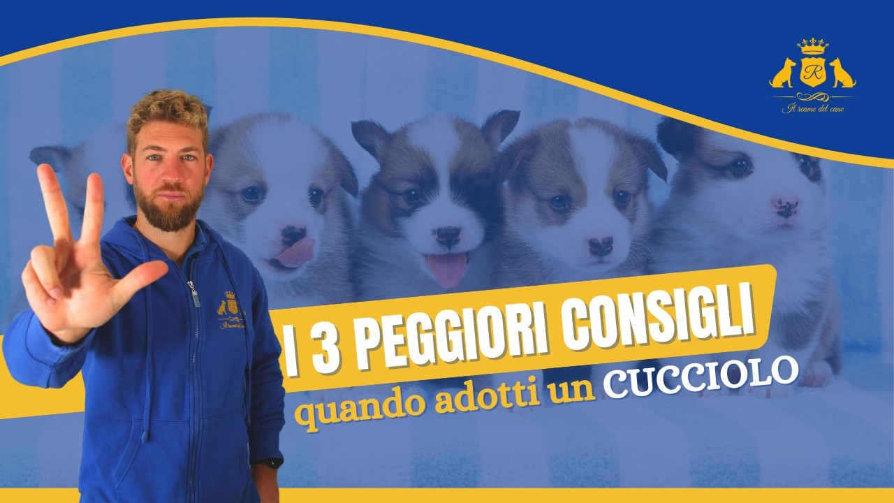 I 3 PEGGIORI CONSIGLI: quando adotti un cucciolo