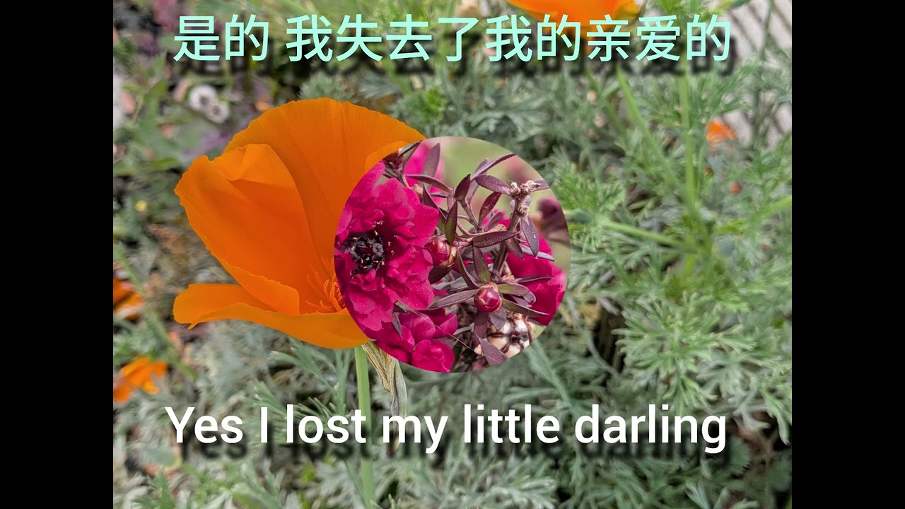 Tennessee Waltz, vocal and guitar (with Chinese subtitle)