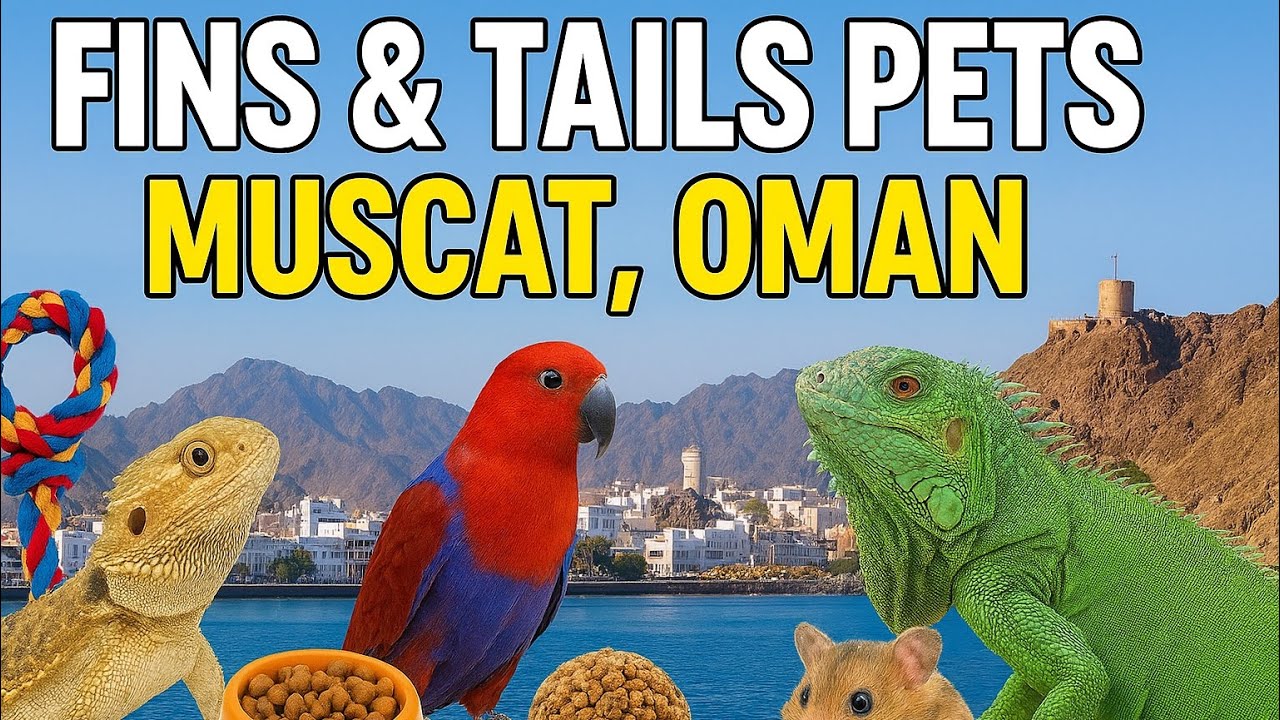 “Fins & Tails Pets 🐠 | Best Pet Store in Muscat, Oman | Aquariums, Birds & More!”