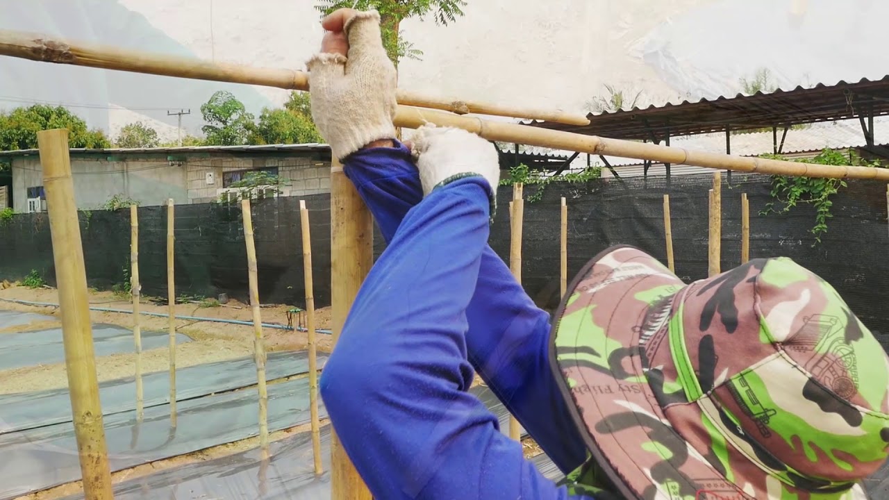 How to install and set up net trellising