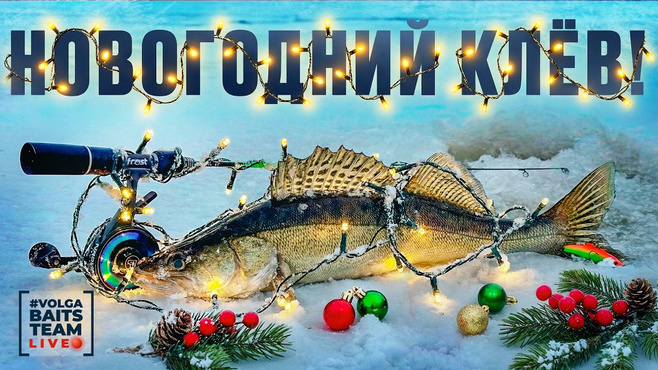 НА ЧТО ЛОВИМ, КОГДА НЕ КЛЮЕТ? | 2 дня на НЕЗНАКОМОМ водоеме | Новогодний влог