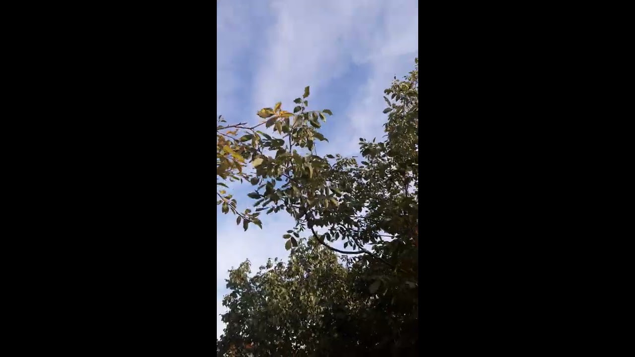 Murat Ölmez hoca - İkindi ezanı🎵🎶