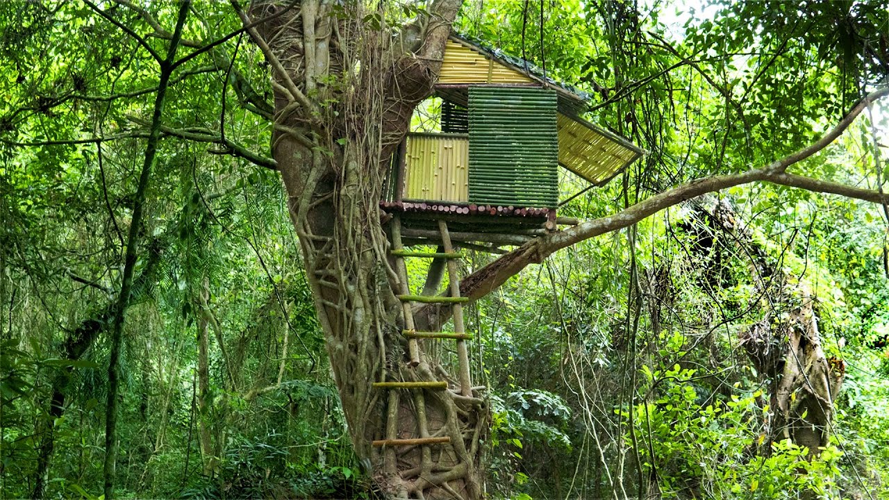 240h Survival - Build a Rainforest Shelter, Fireplace, Night Hunt | Bamboo House On The Tree