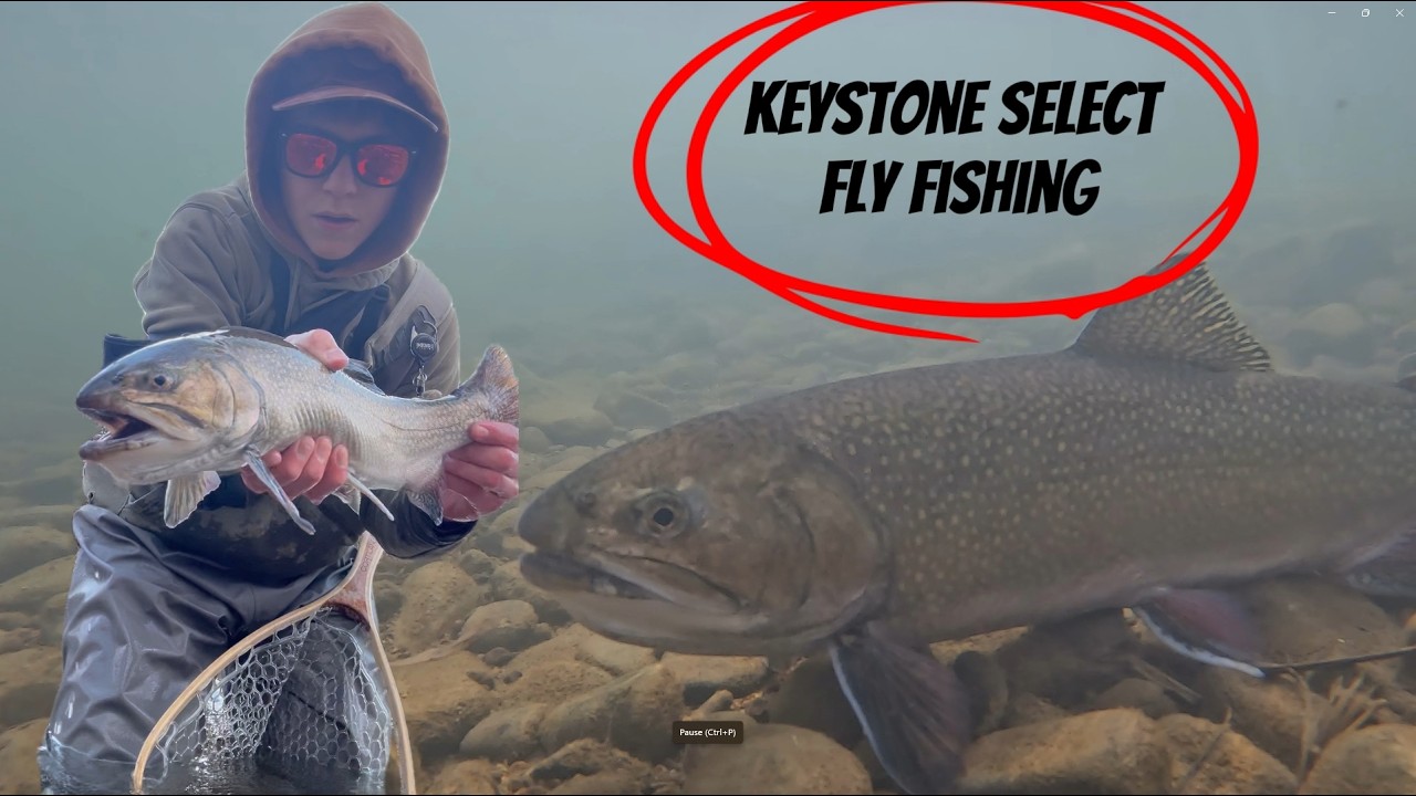 Fly Fishing a  Pennsylvania Keystone Select Stream For Trout / Euronymphing