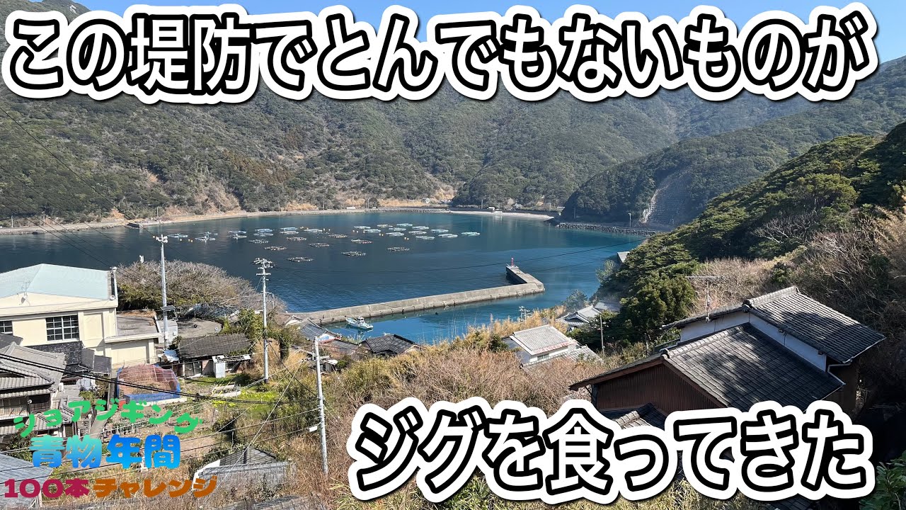 この堤防とんでもないものがジグを食ってきました…【ショアジギング青物年間100本チャレンジ#114】