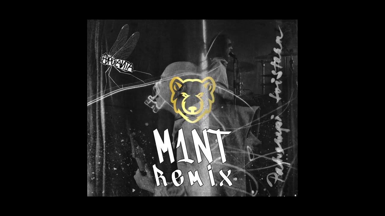 Apulanta - Pahempi Toistaan (M1NT Remix)