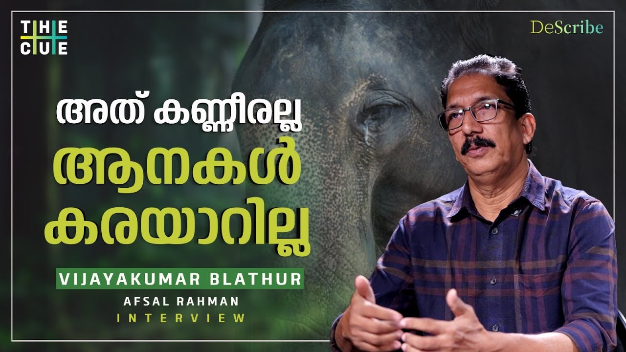 ആനക്ക് ആനയുടെ വലിപ്പമറിയാം | Vijayakumar Blathur Interview | Elephant Secrets | The Cue