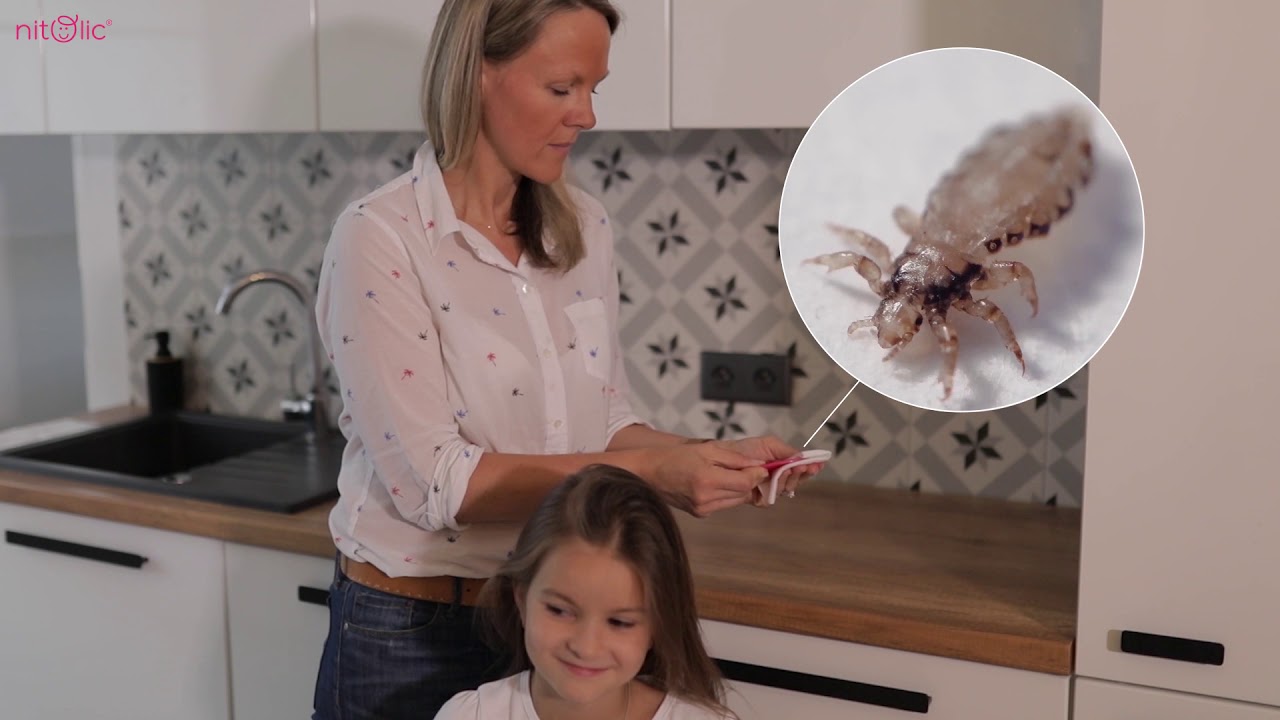 NITOLIC recommends - how to check your child for head lice.