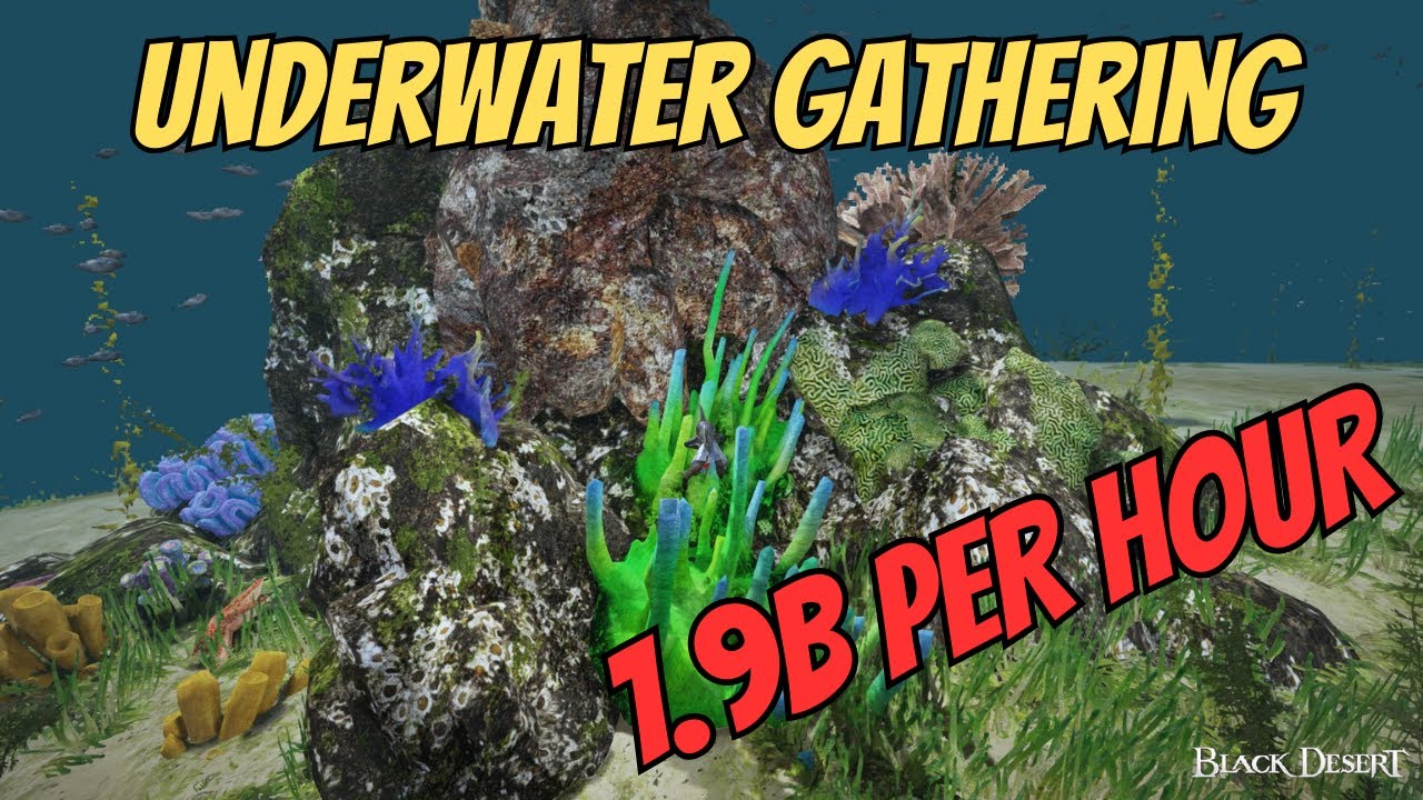 BDO | 3000 Mastery %1000 Life EXP Underwater Gathering  | 1.9B PROFIT