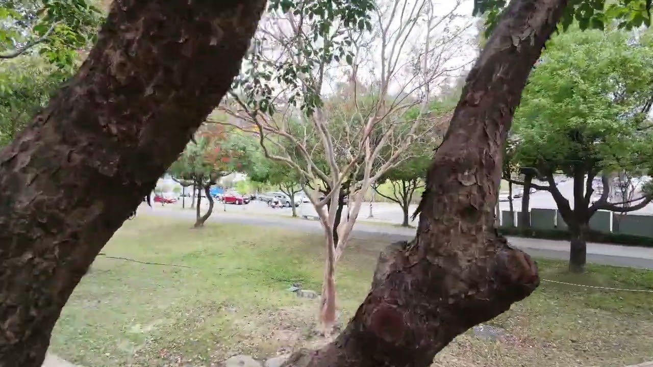 南興公園空拍練習