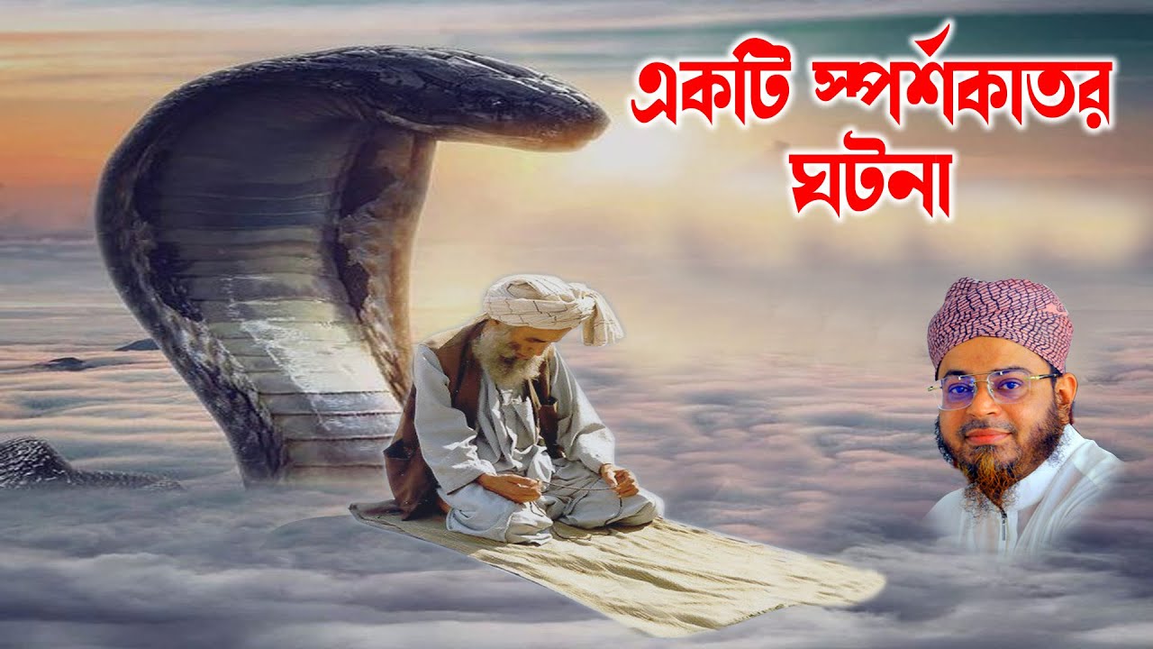 মুফতি নাসির উদ্দিন আনসারী । mufti nasir uddin ansari | যে ঘটনার পর গোটা মিশর কেপেছিল । dhaka tv