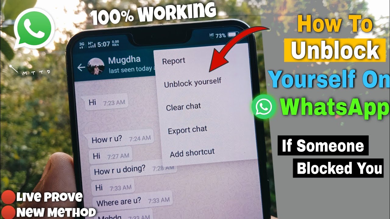 Как разблокировать себя в WhatsApp, если вас кто-то заблокировал! (Лучший способ)