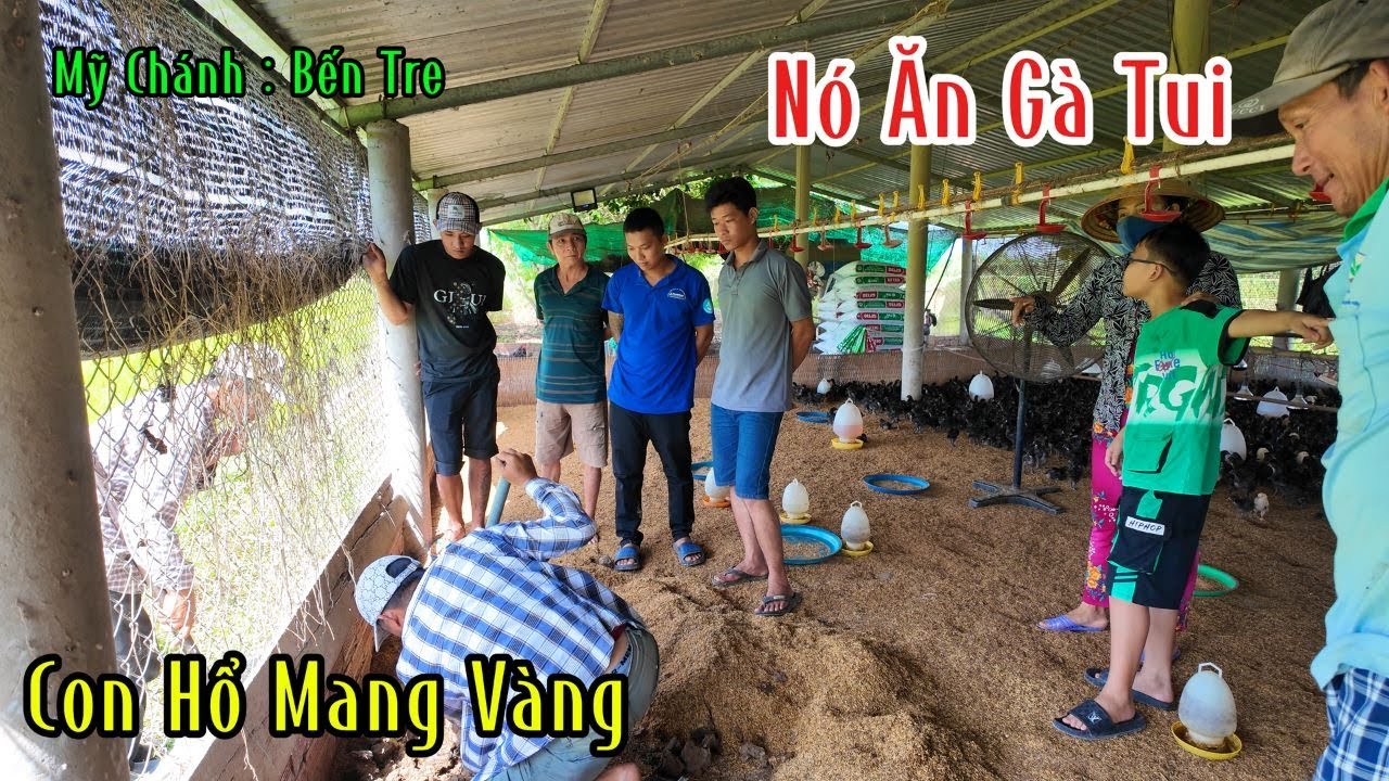 Mỹ Chánh 
