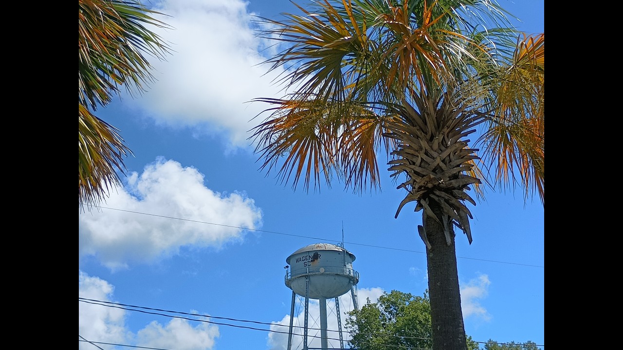 Walkabout in Wagener, SC