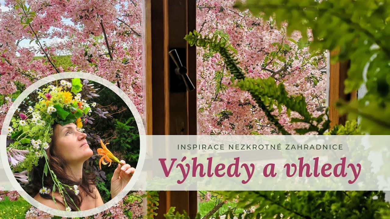 Jak na výhledy a vhledy v zahradě?