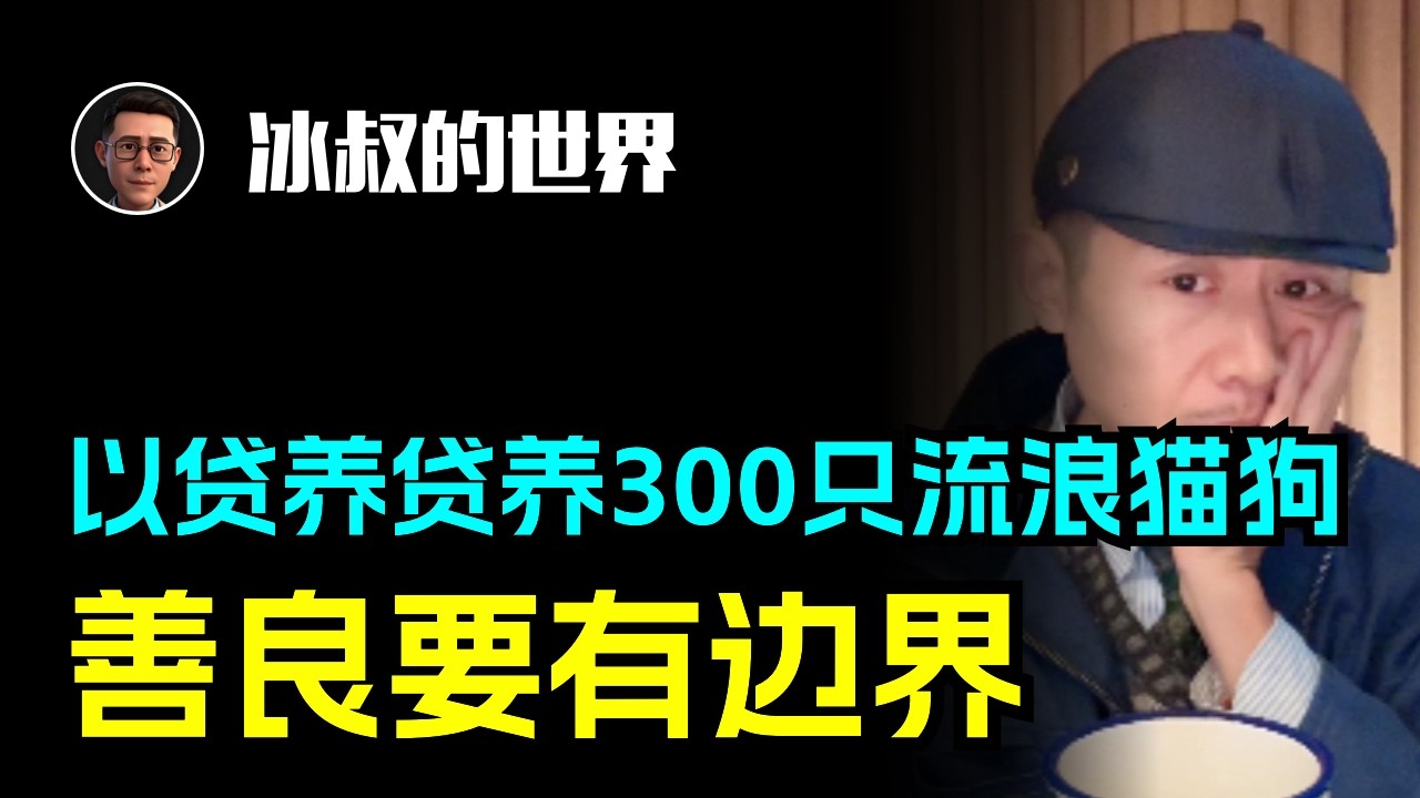 贷款养300只流浪猫狗！大冰狠批：超出能力的善良是负担！