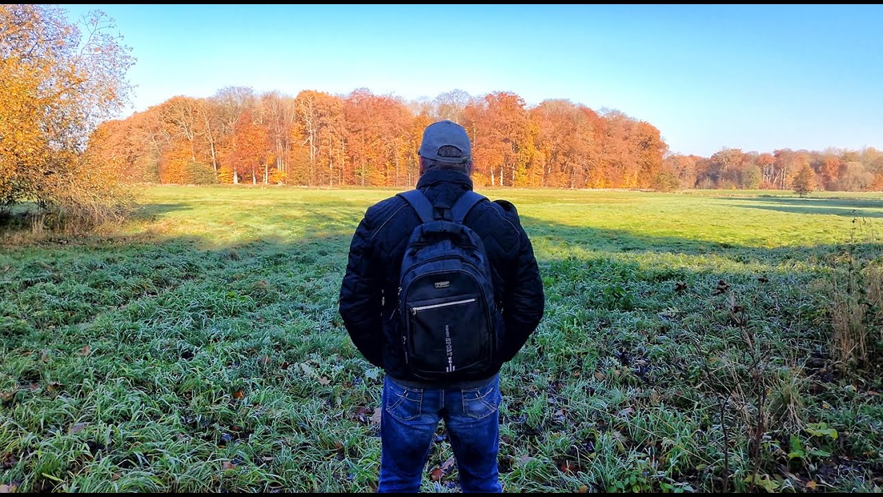 Novembermorgen - Farben des Herbstes