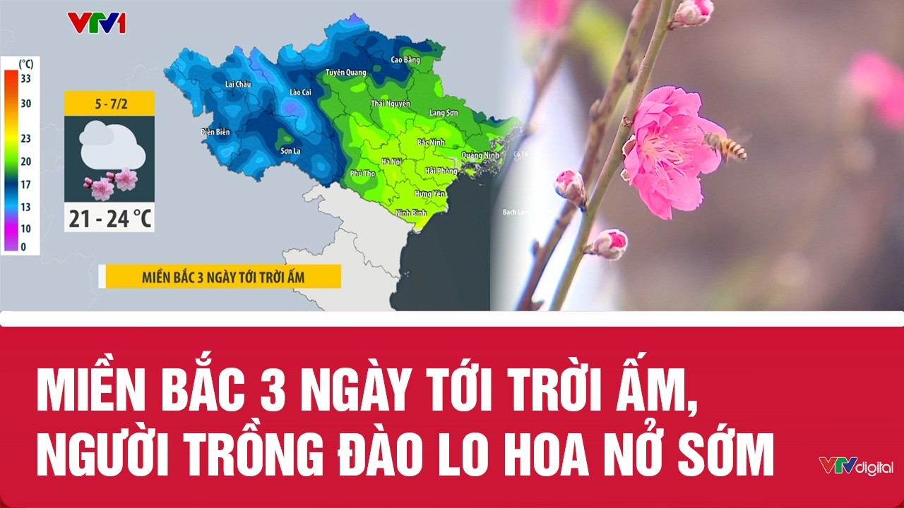 Miền Bắc 3 ngày tới trời ấm, người trồng đào lo hoa nở sớm | VTV24