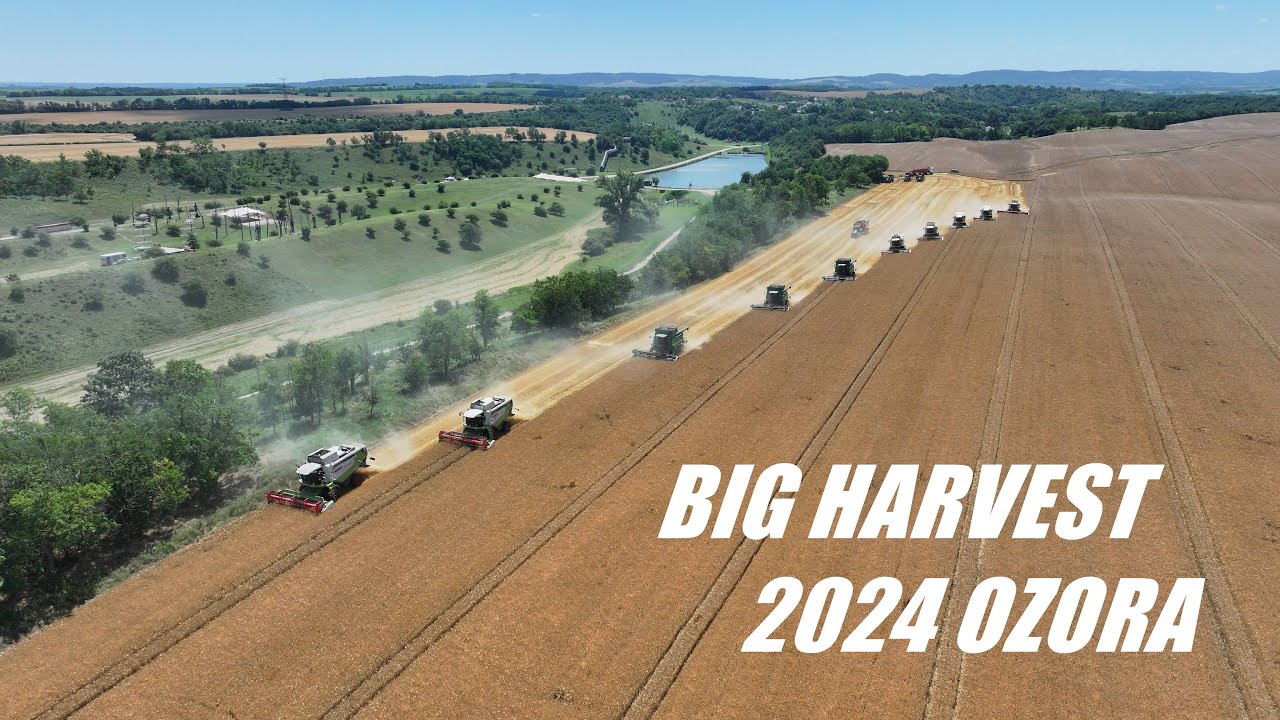 Big Barley Harvest-Árpa aratás 10 kombájnnal/Ozora 2024!  5 X CLAAS Lexion, 2 X MEGA, 3 X JOHN DEERE