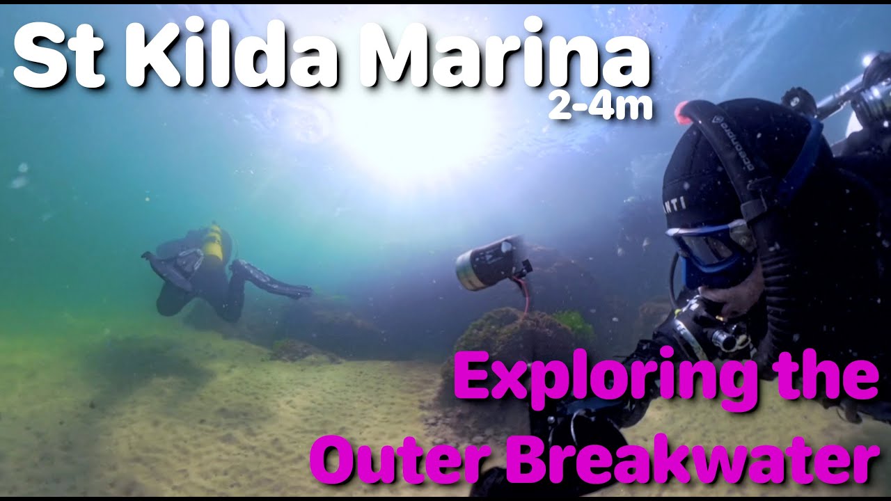 [SiteReview] St Kilda Marina - Exploring the Marina and #Dive the Breakwater for Critters!