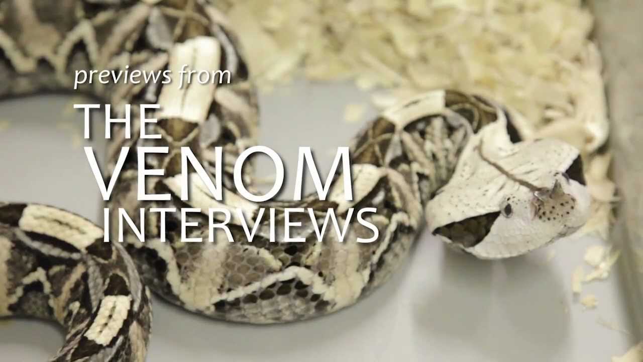 The Venom Interviews - sample chapter: 