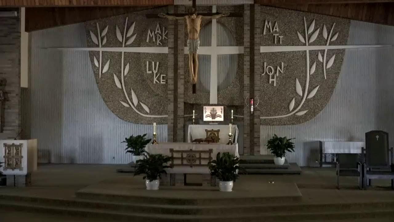 12pm Sunday Mass